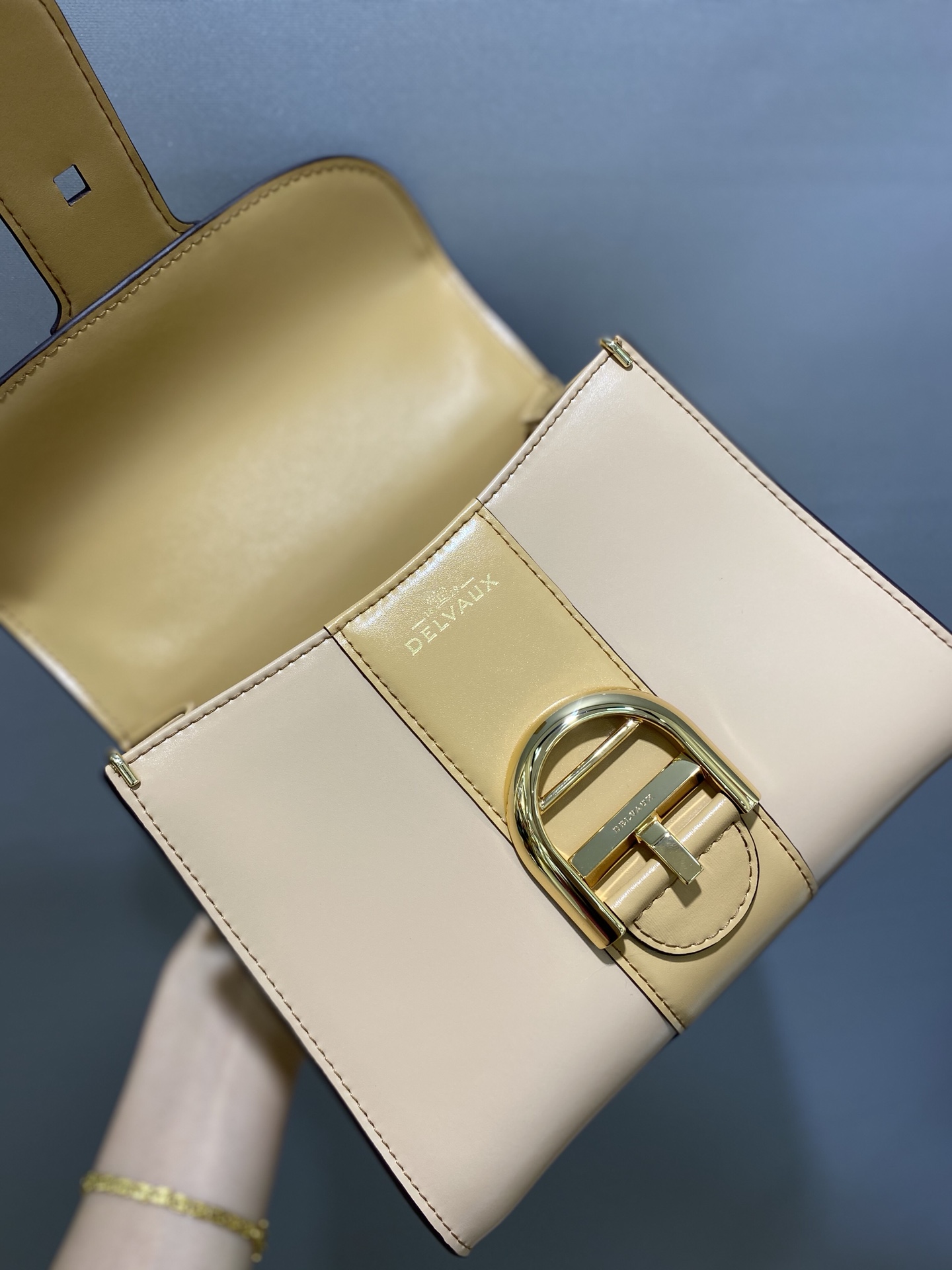 델보 브리앙 박스백 미니